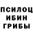 Псилоцибиновые грибы GOLDEN TEACHER DiFiz