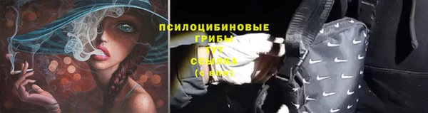 шишки Баксан