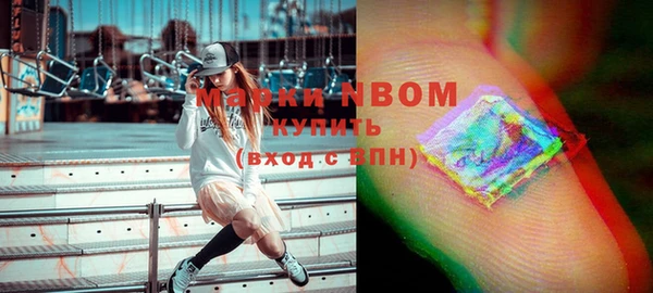 шишки Баксан