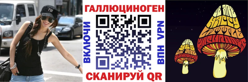 Псилоцибиновые грибы Psilocybe  Чадан 